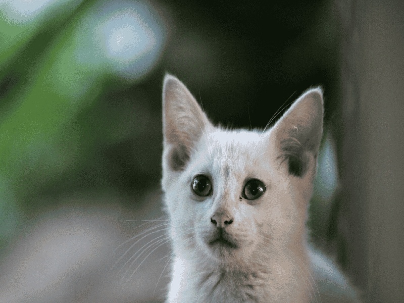合肥惜缘试管代生机构:怀二胎孕吐反应特大,和孕妇自身以及胎儿都有关